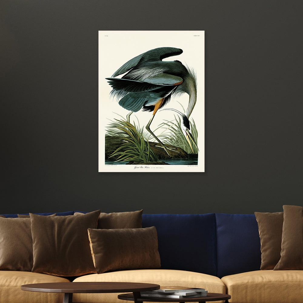 Product photograph of The Art Group John James Audubon Great Blue Heron Canvas Print Large from Olivia's.