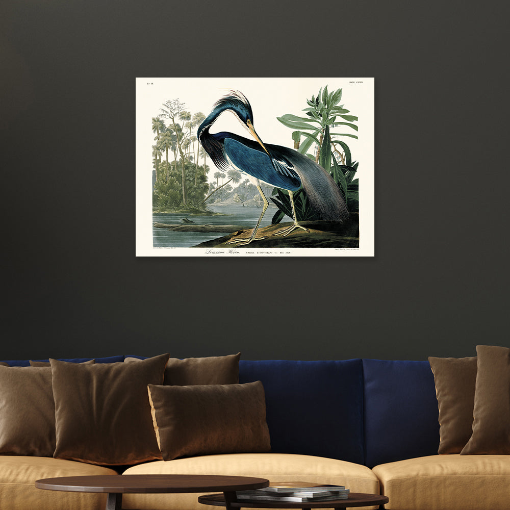 Product photograph of The Art Group John James Audubon Louisiana Heron Canvas Print 30x40cm from Olivia's.