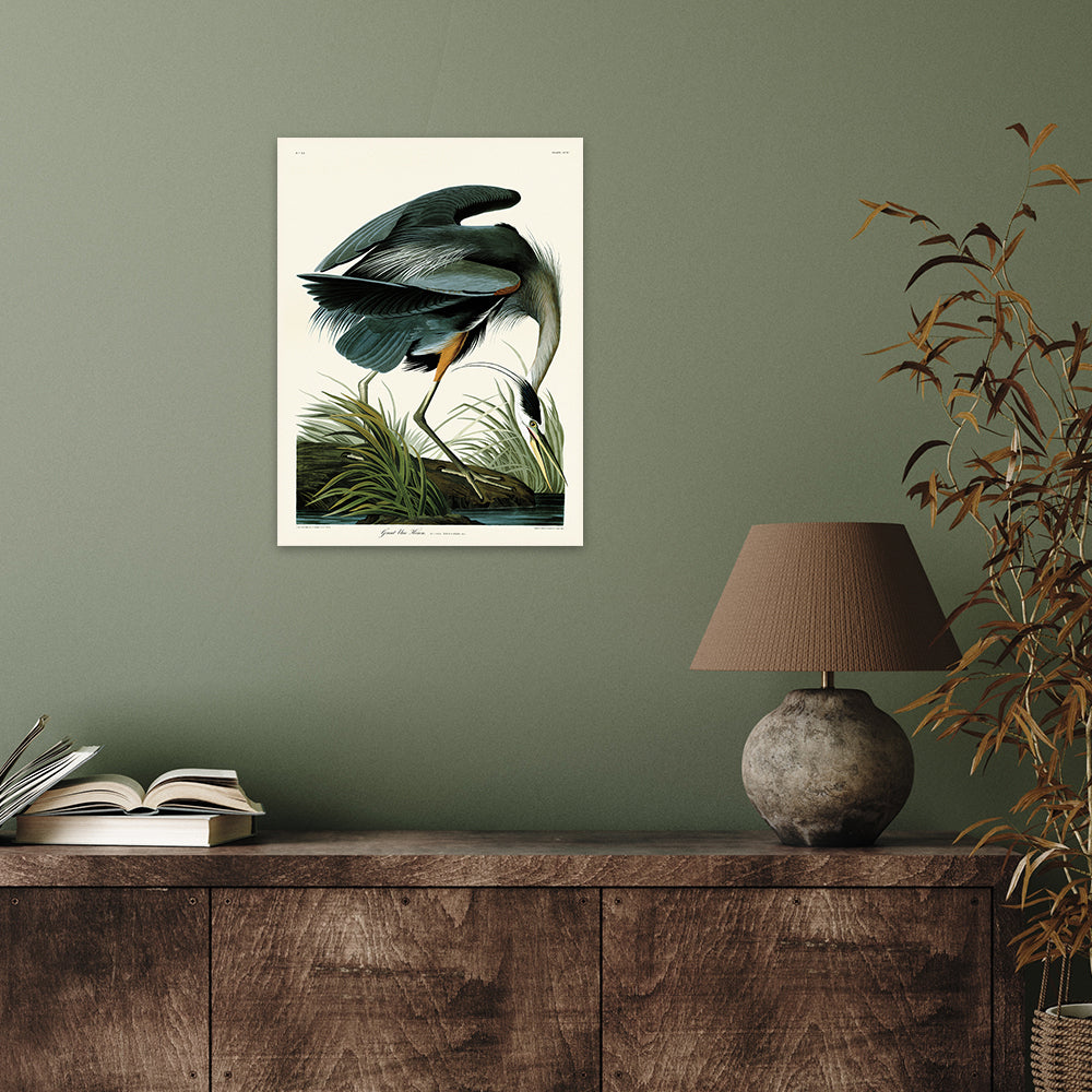 Product photograph of The Art Group John James Audubon Great Blue Heron Canvas Print Small from Olivia's.