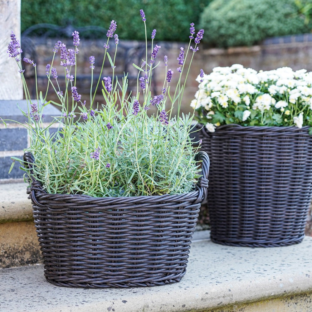 Product photograph of Ivyline Polyrattan Lined Basket Willow from Olivia's.