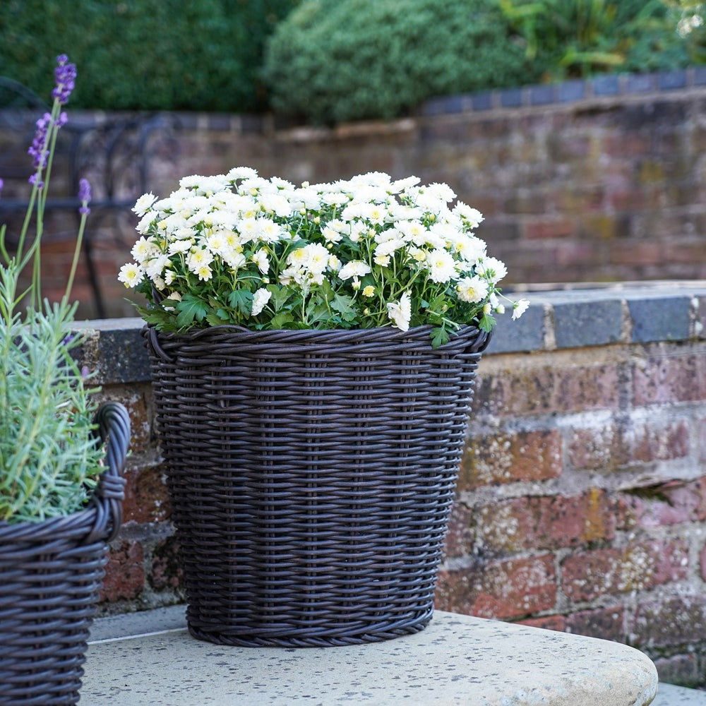 Product photograph of Ivyline Polyrattan Willow Lined Planter Small from Olivia's.