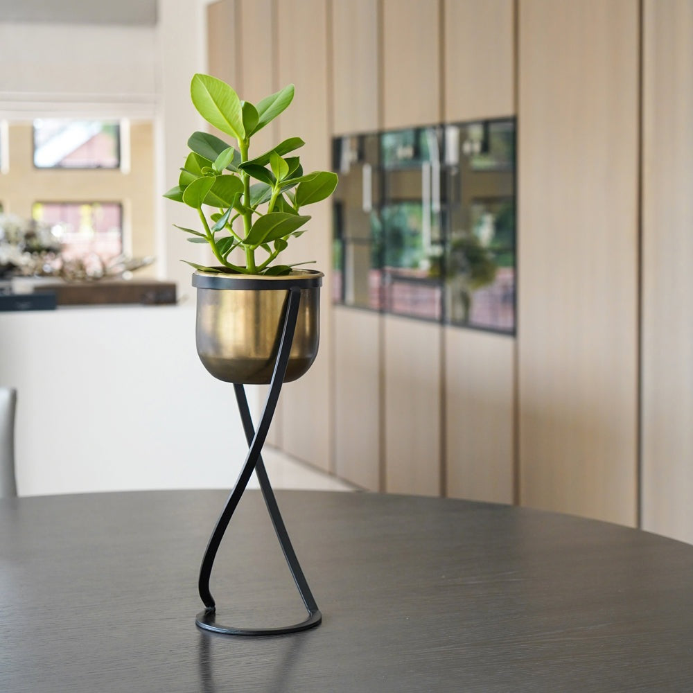 Product photograph of Ivyline Indoor Kensington Brass Metal Round Planter On Stand from Olivia's.