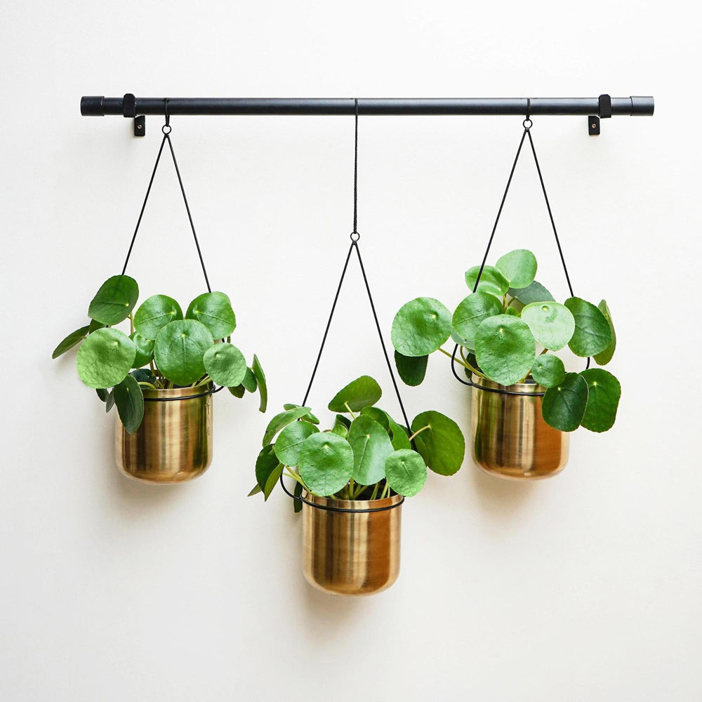 Product photograph of Ivyline Linear Hanging Planters Black And Gold from Olivia's.
