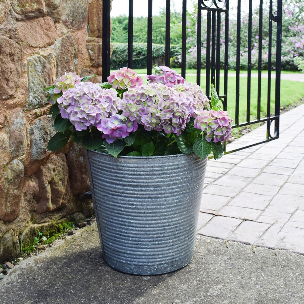 Product photograph of Ivyline Ribbed Galvanised Planter from Olivia's.