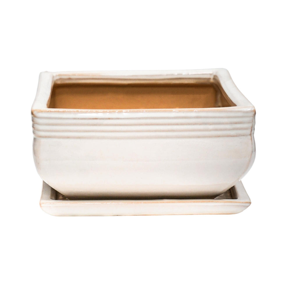 Product photograph of Ivyline Set Of 2 Square Bonsai Planter Cream from Olivia's