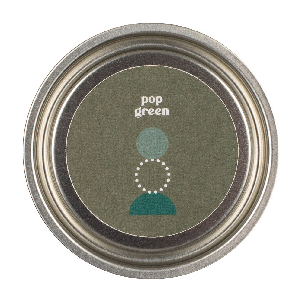 Product photograph of Zhoosh Paints Pop Green Paint For Woodwork Metal - 2 5l from Olivia's.