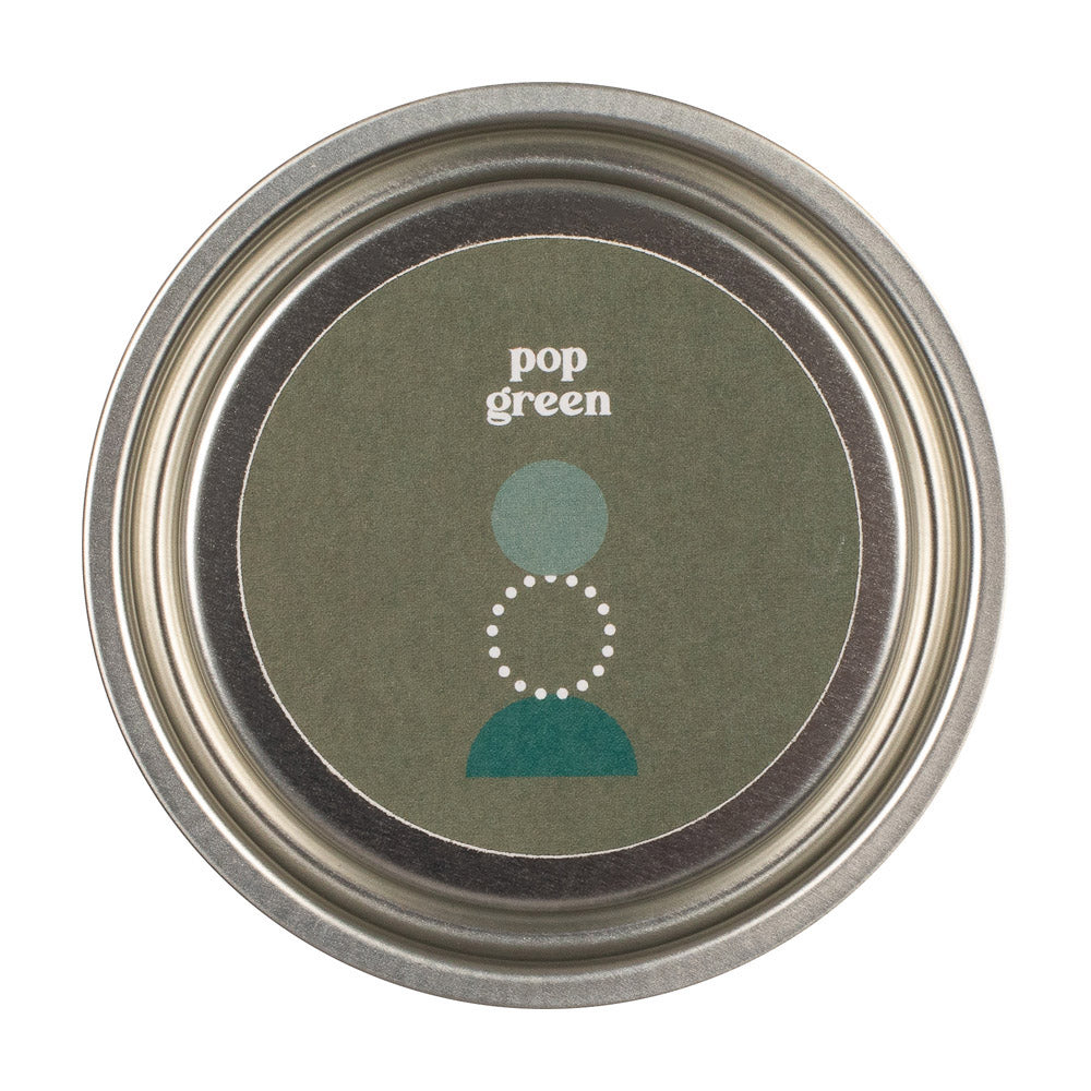 Product photograph of Zhoosh Paints Pop Green Paint For Walls Ceilings - 2 5l from Olivia's.