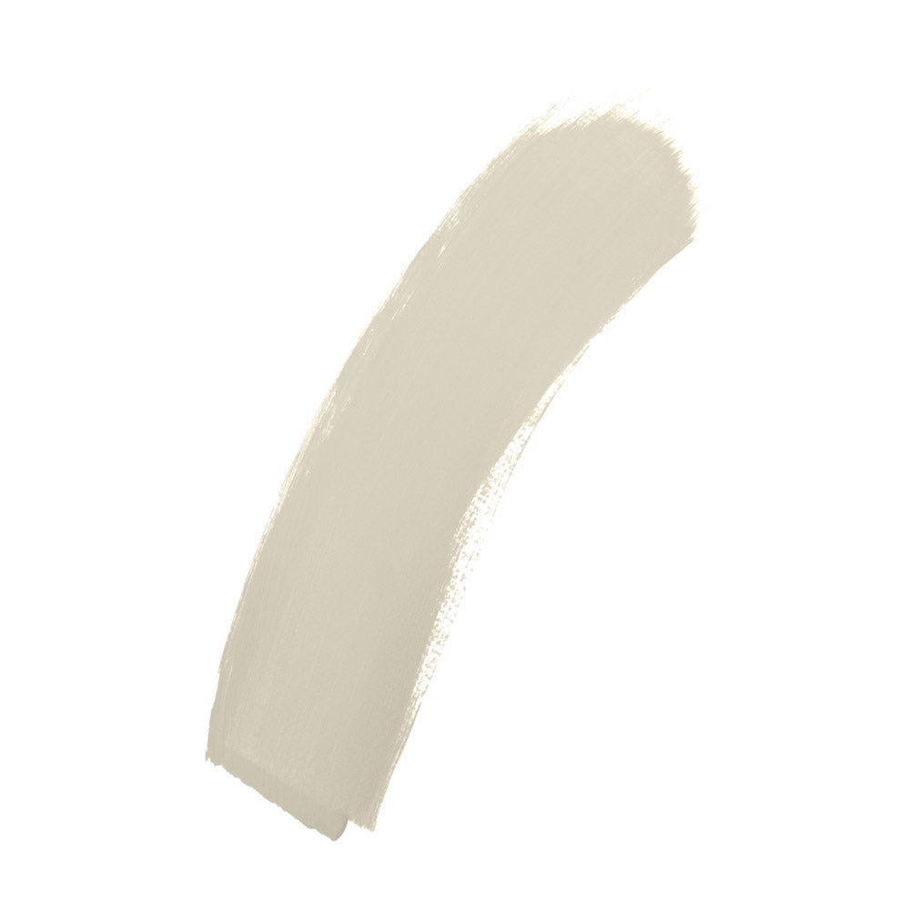 Product photograph of Zhoosh Paints Soulful Beige Paint For Walls Ceilings - 2 5l from Olivia's.