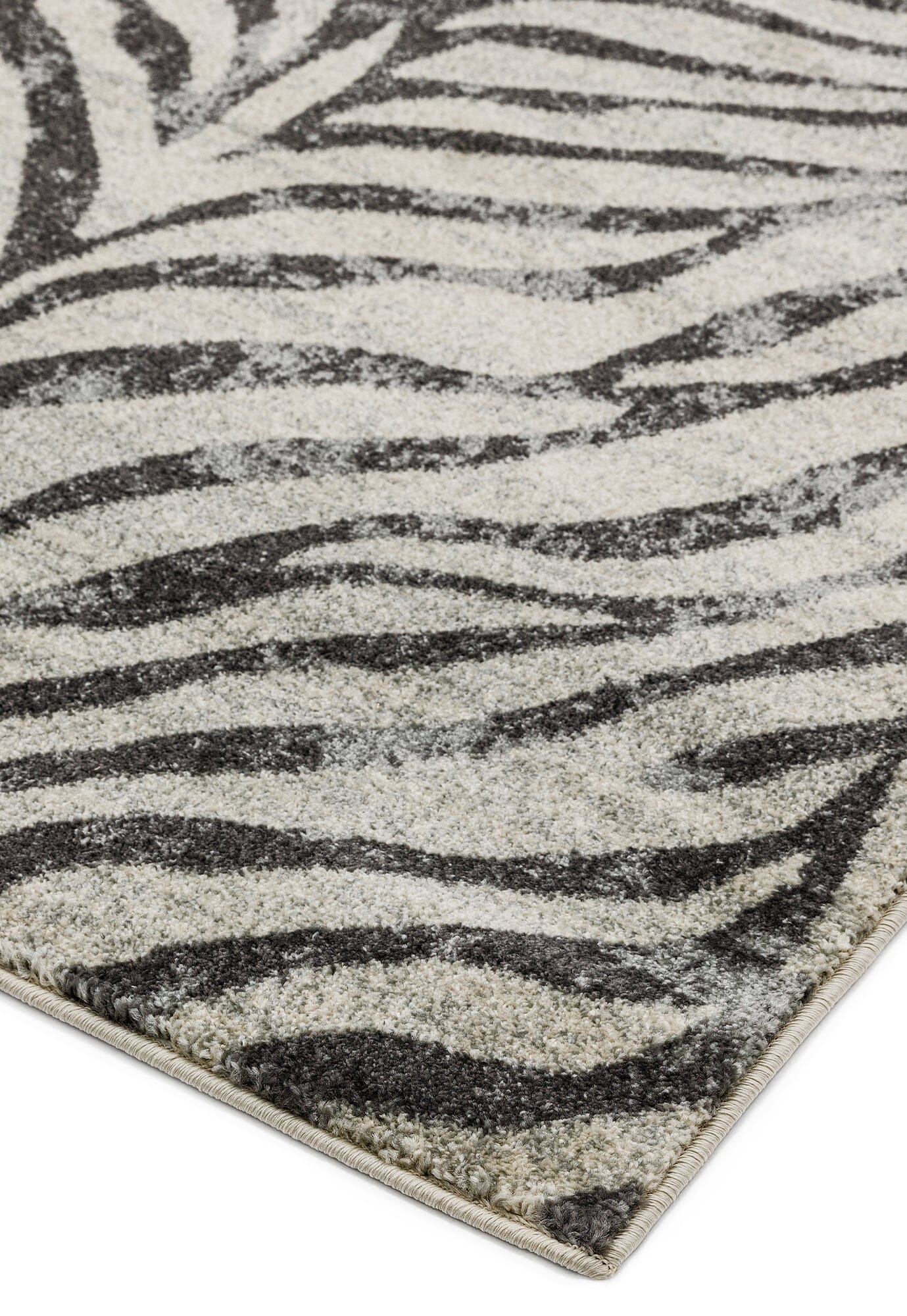 Product photograph of Asiatic Carpets Nova Machine Woven Rug Zebra Grey - 200 X 290cm from Olivia's.