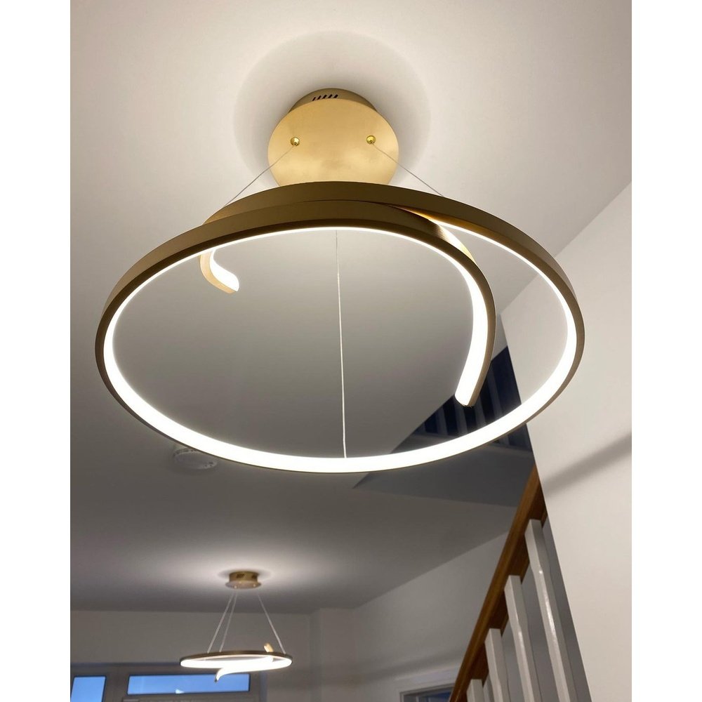 Product photograph of Olivia S Raina Pendant Light Brushed Gold from Olivia's.