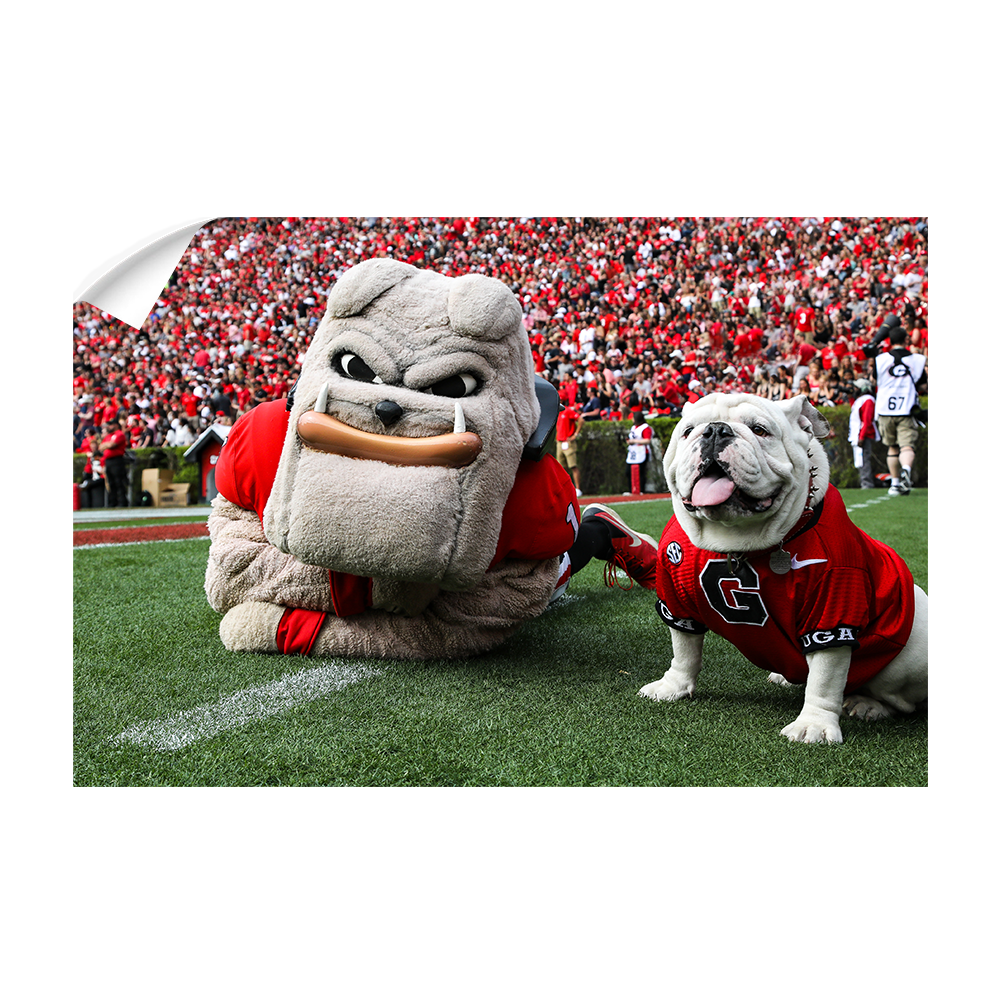 georgia bulldog stuffed animal