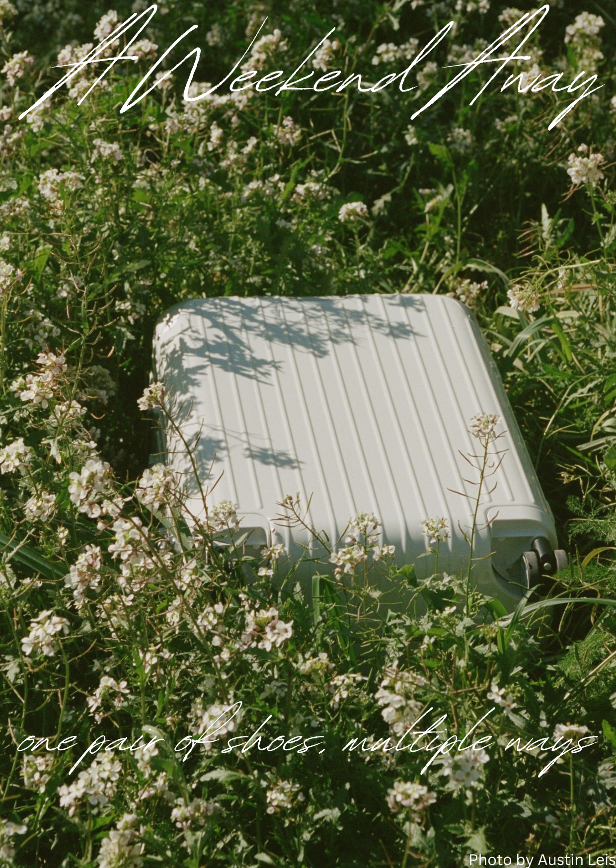 suitcase in flowers
