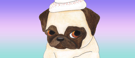 BabyPugTier2_3039a35b-6fd2-457d-81f9-09e9fe99e71f