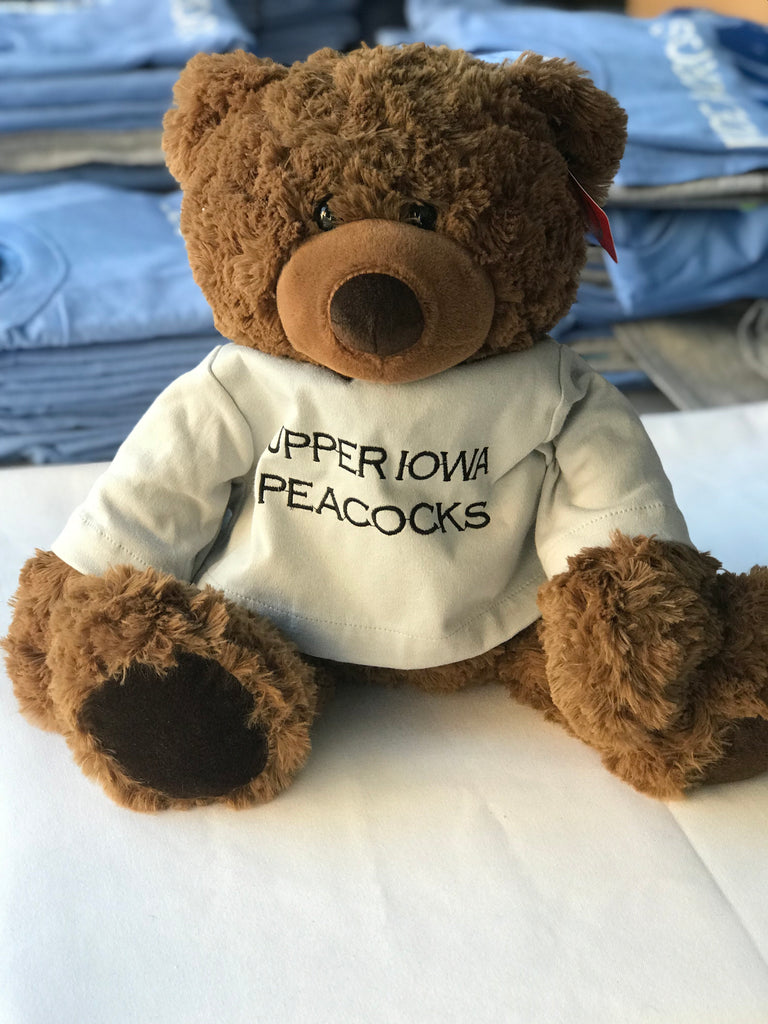 coco teddy bear