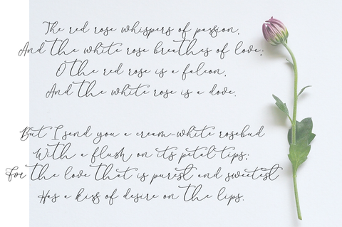 Beauty free script font on Font Bundles