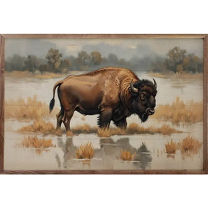 Bison in Water - Montana Rustic Accents
