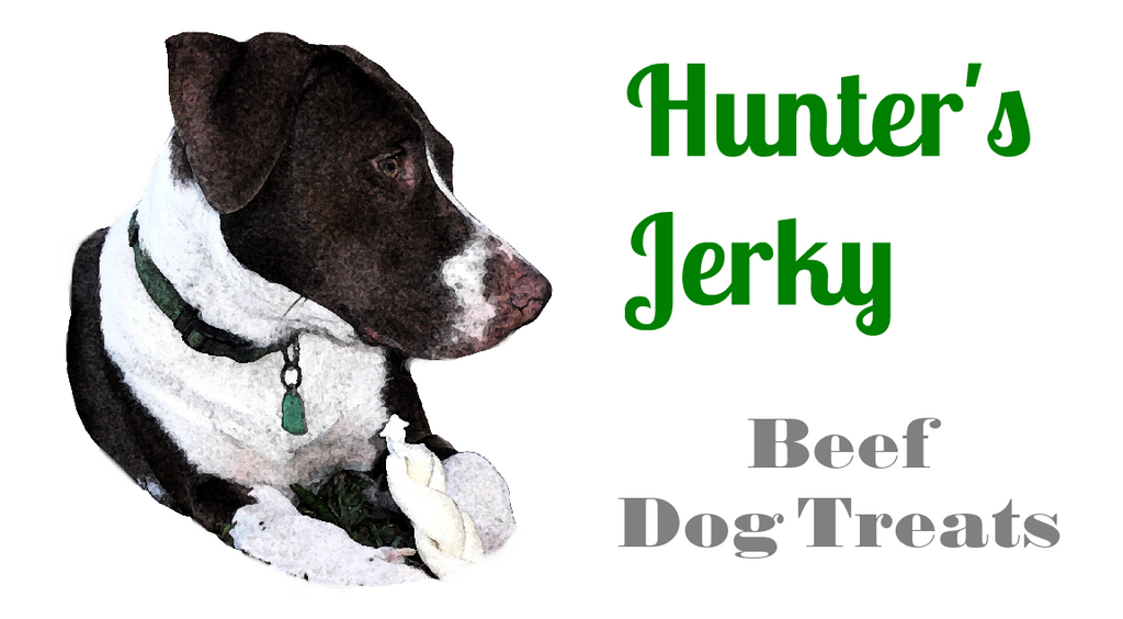 hunter dog products