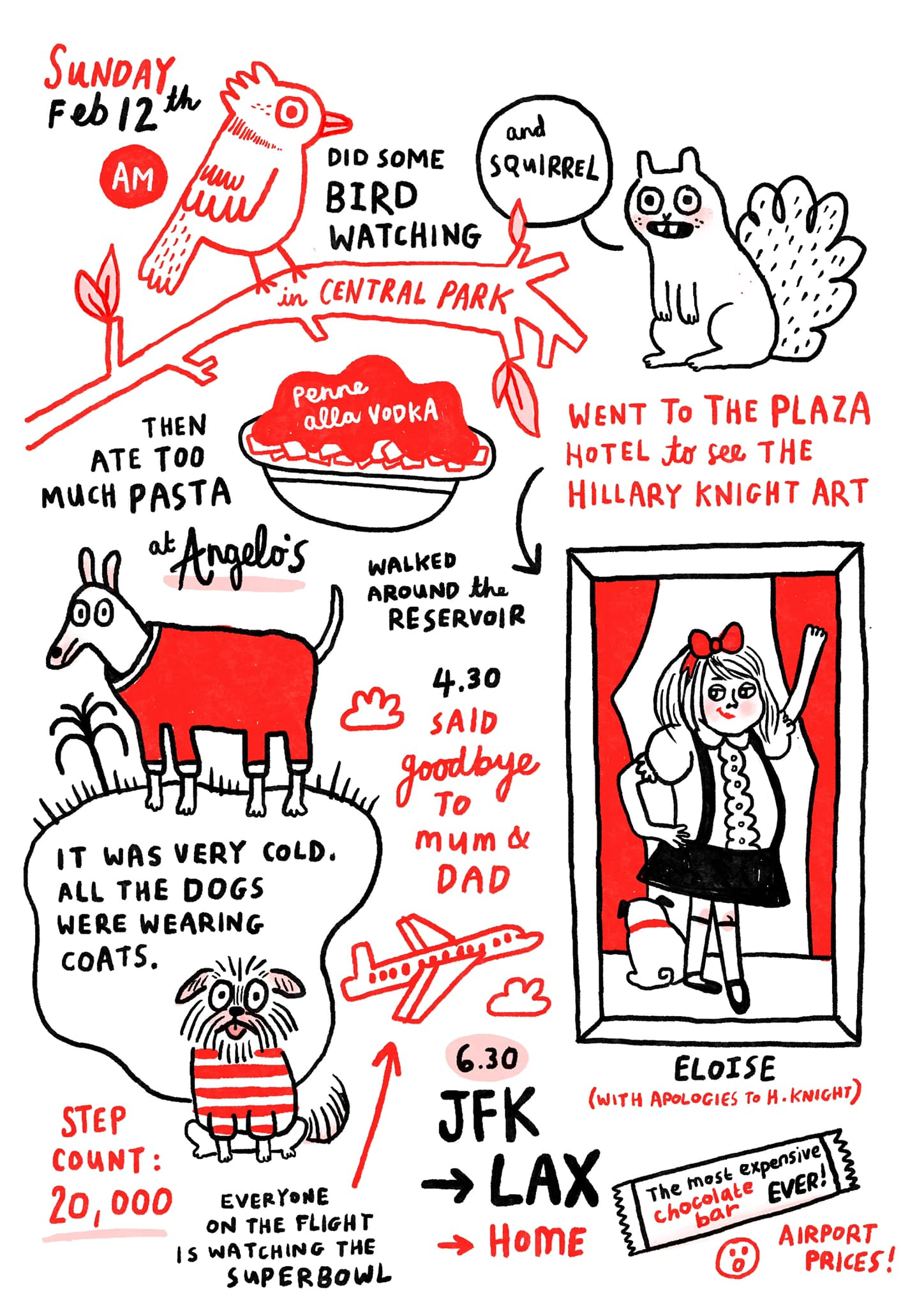 NYC diary by Gemma Correll featuring dogs in coats and a plane ride home