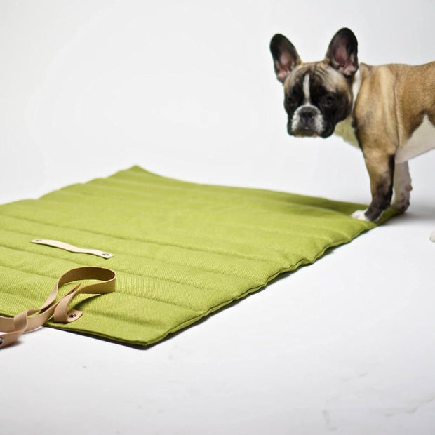 Quilted Dog Travel Mat in Moss – This 