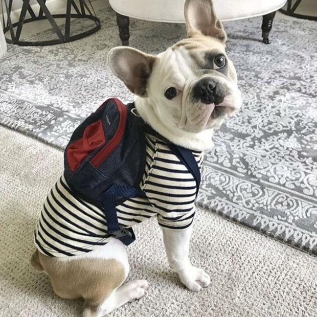 mini dog backpack