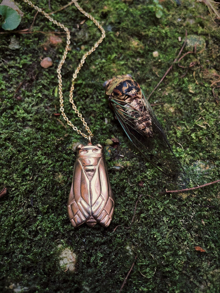 MIMOSA Handcrafted's Cicada Necklace Is Depicted Alongside the Insect That Inspired It