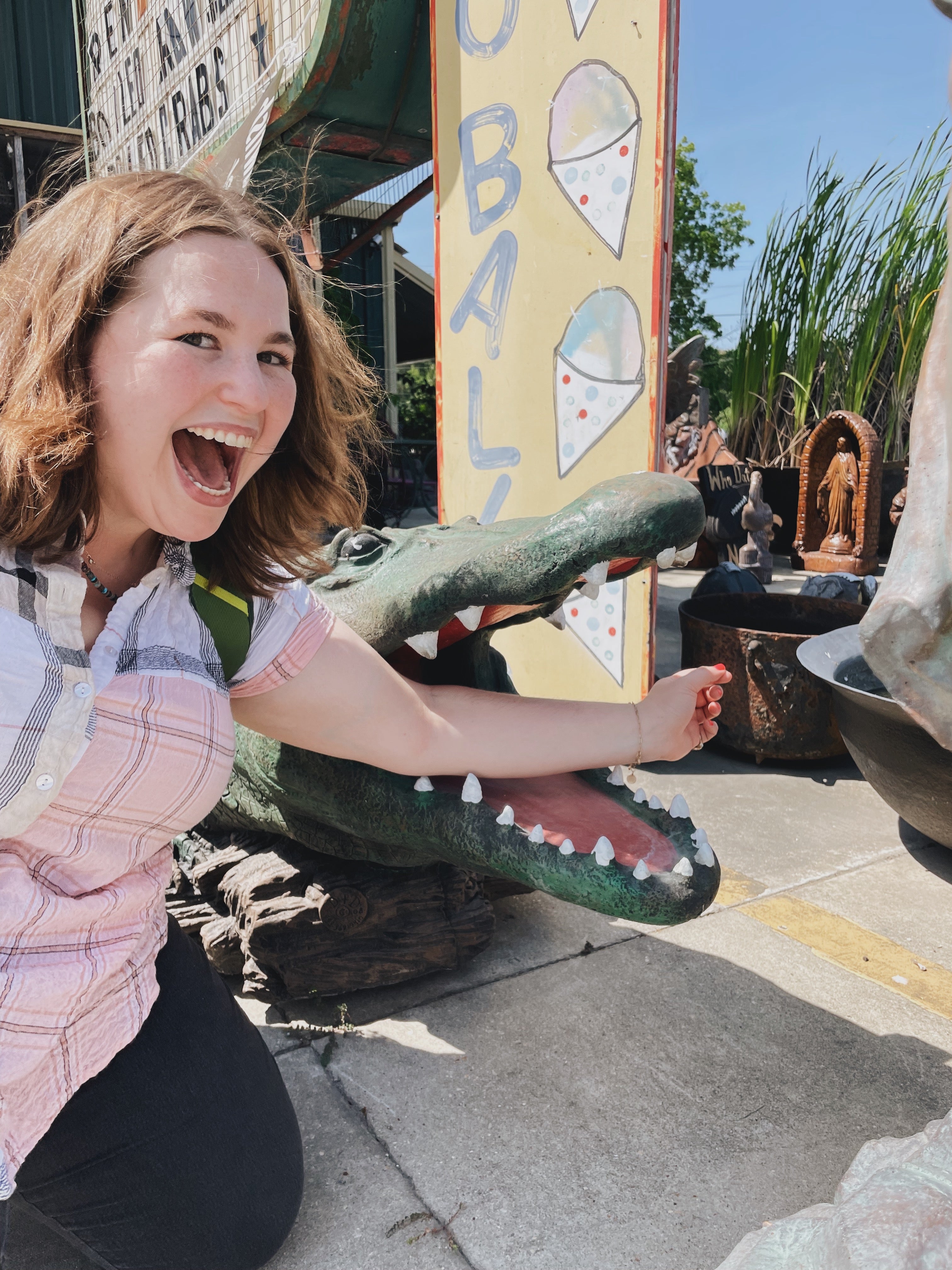 Playing Pretend With The Alligator Statue Outside Of The Fruit Stand Inc. In Breaux Bridge, Louisiana