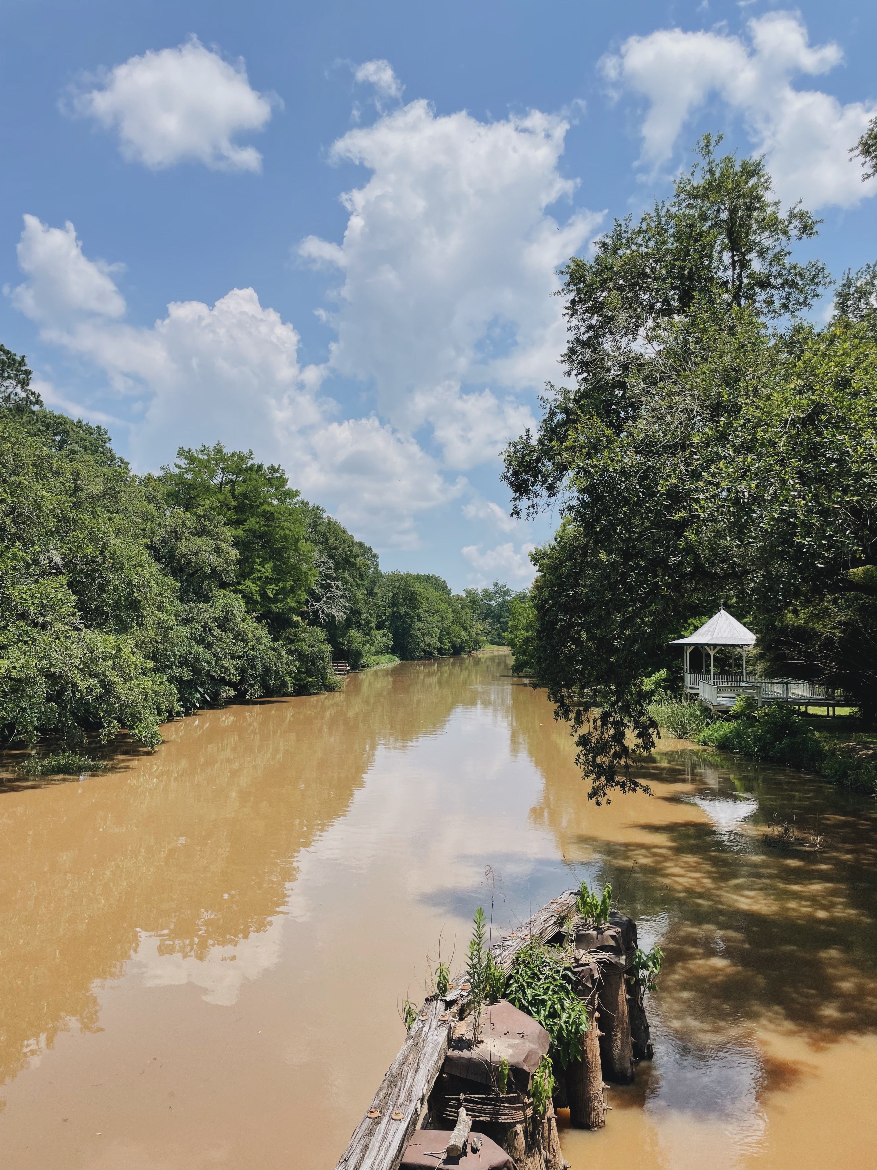 The Bayou Teche in Breaux Bridge, Louisiana