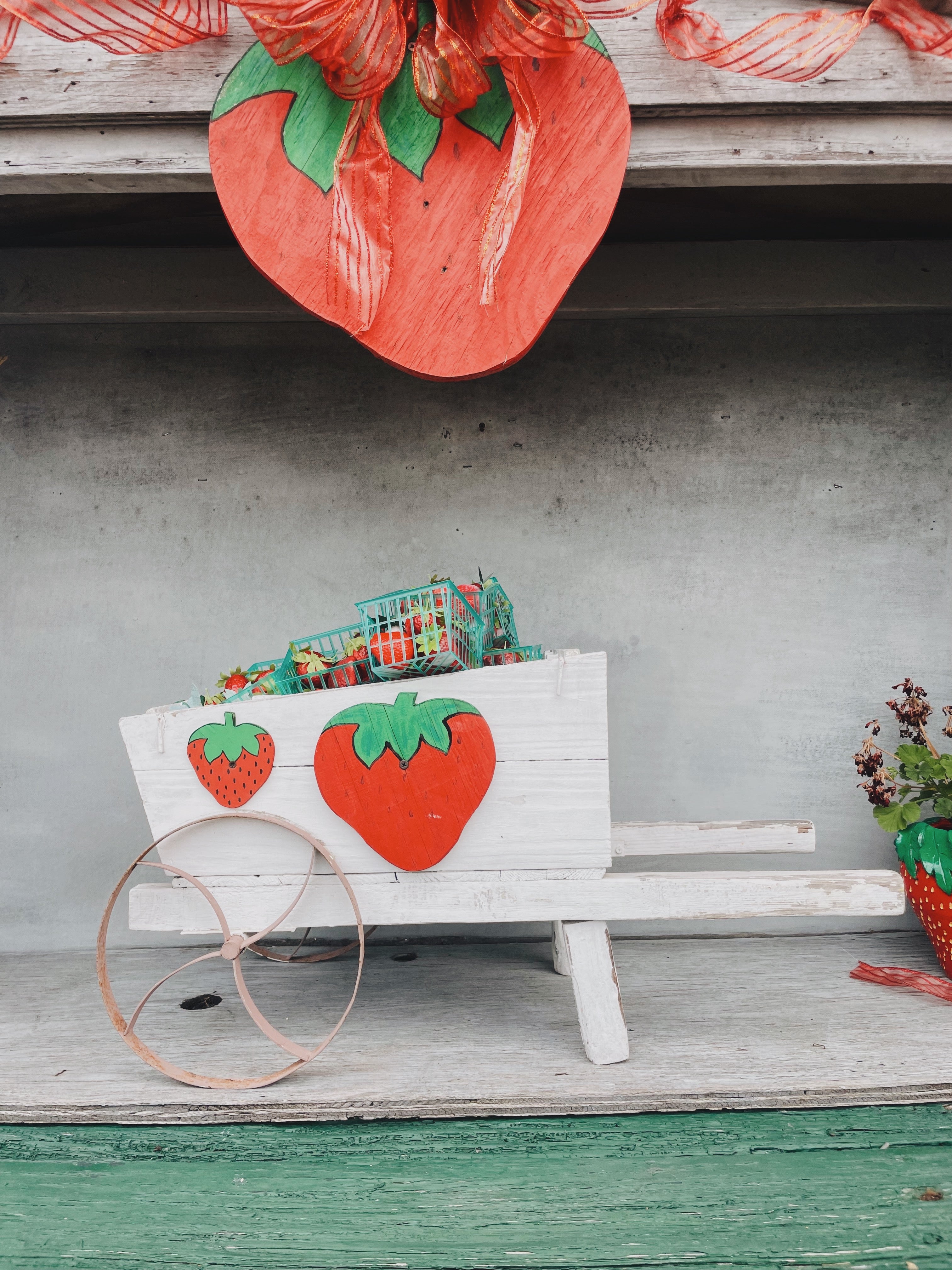 Strawberries at the Ponchatoula Country Market