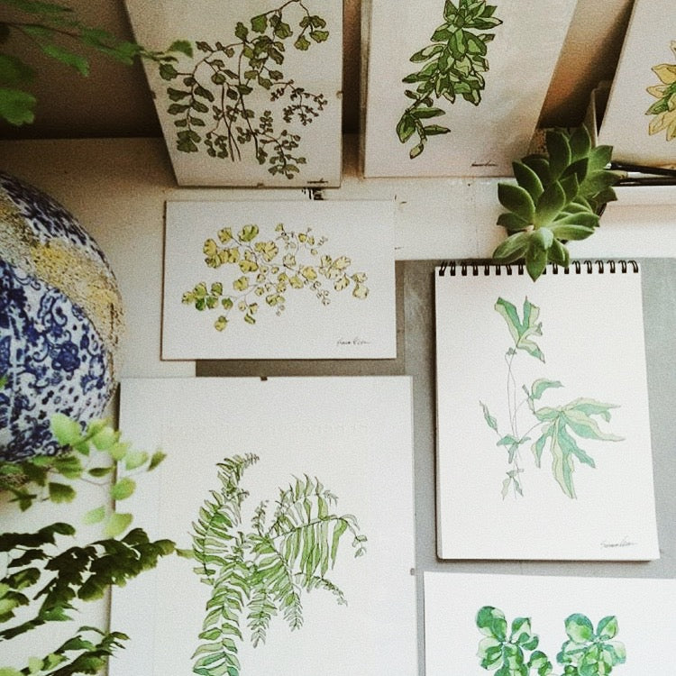 Botanical Illustrations from Samara Thomas