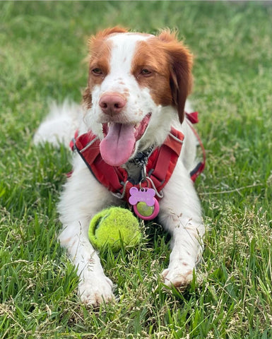 image of Rubi with a ball
