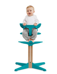 Nomi High Chair Mini Toddler Harness