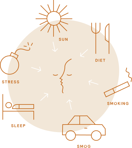 environmental stressor wheel graphic