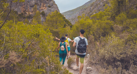 hiking-essentials