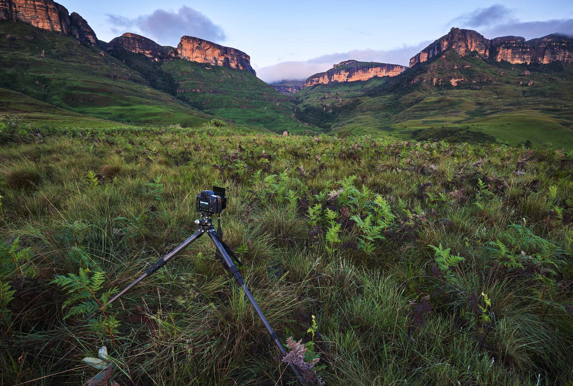 Leofoto Ranger Tripod Review by Emil von Maltitz