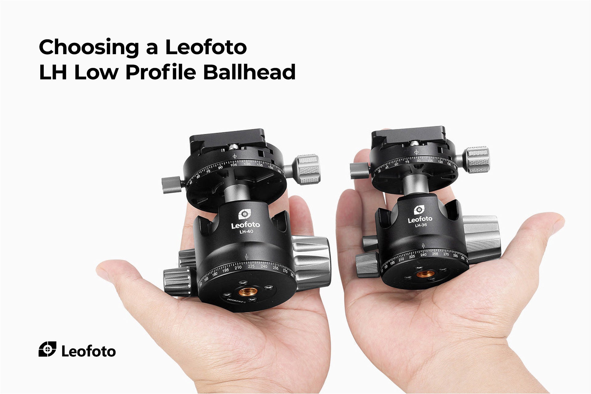 Landscapegear Choosing a Leofoto LH Low Profile Ballhead