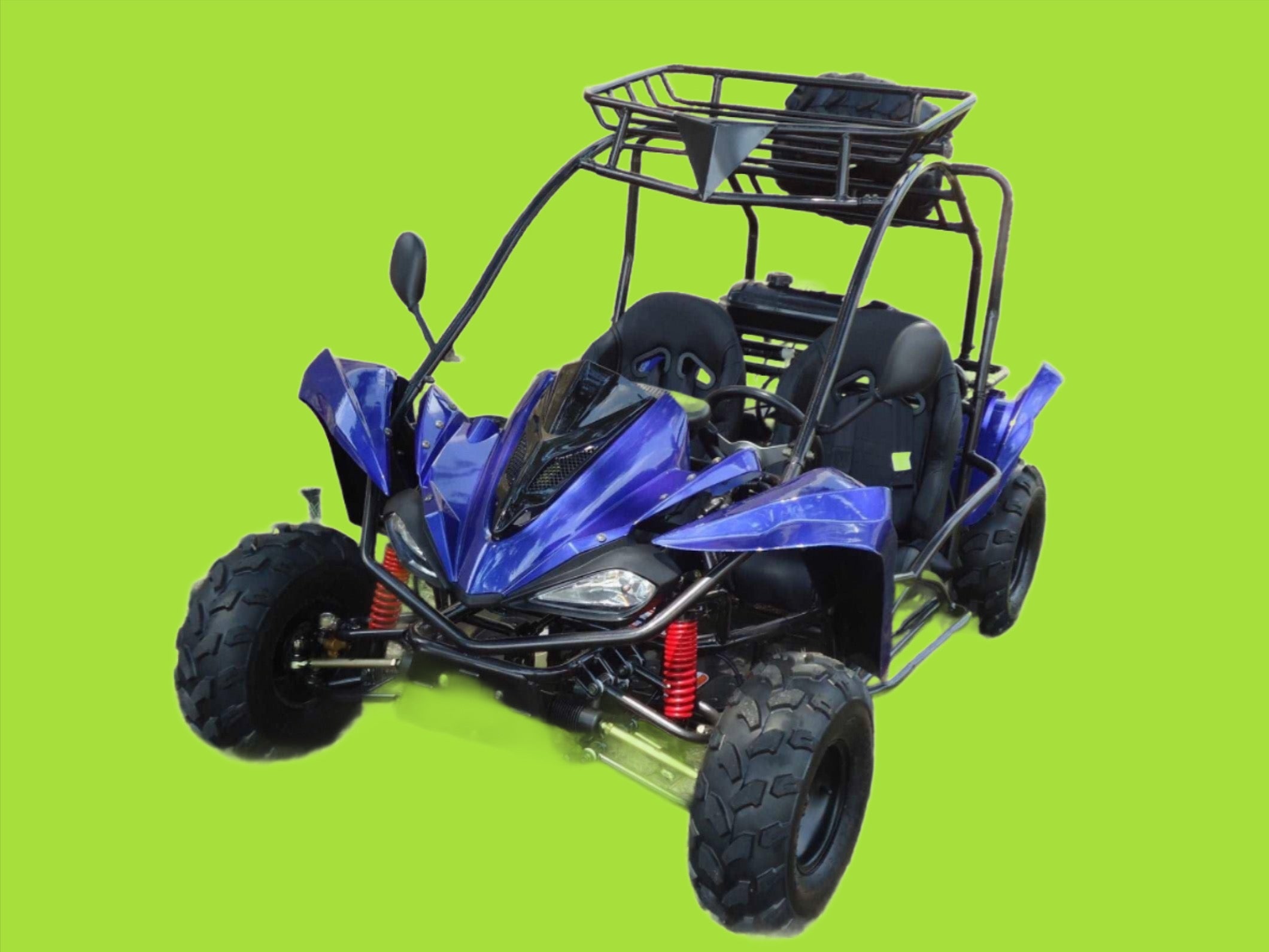 Warrior 2 seater 125cc Go Karts