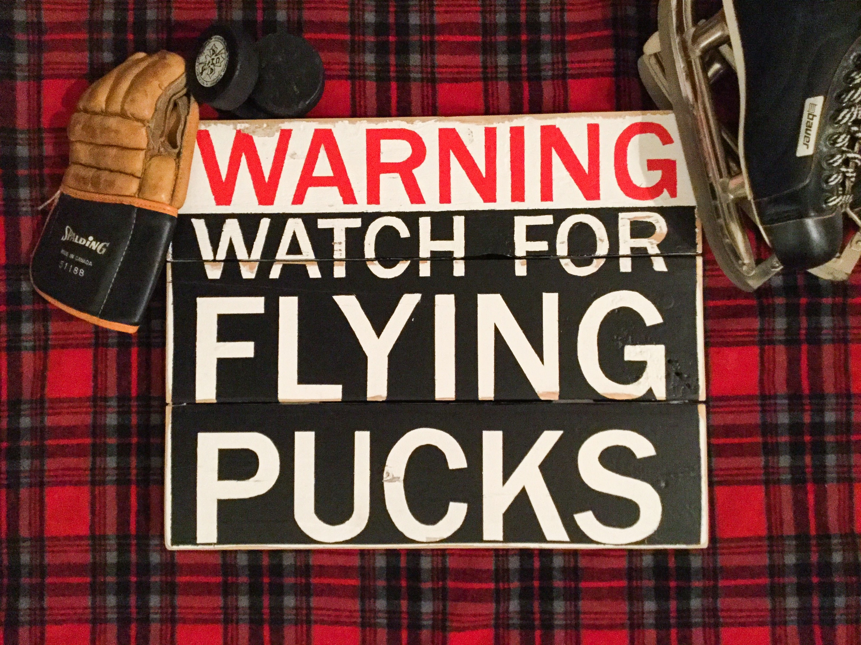 Warning Watch for Flying Pucks Sign