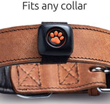 PitPat Dog Activity and Fitness Monitor (no GPS) - Lightweight and waterproof with no recharging or subscription - Pets Emporium