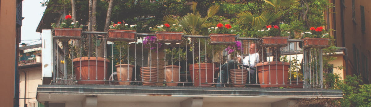 container plants on an urban patio