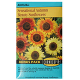 Sunflower Sensational - Cornucopia Seeds