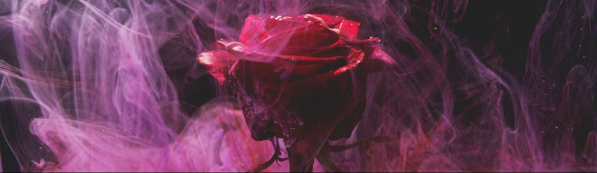 Steamy Rose