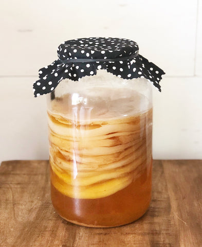 Scoby Hotel  Learn How to Store a Skoby in a Kombucha Hotel - Cultures For  Health