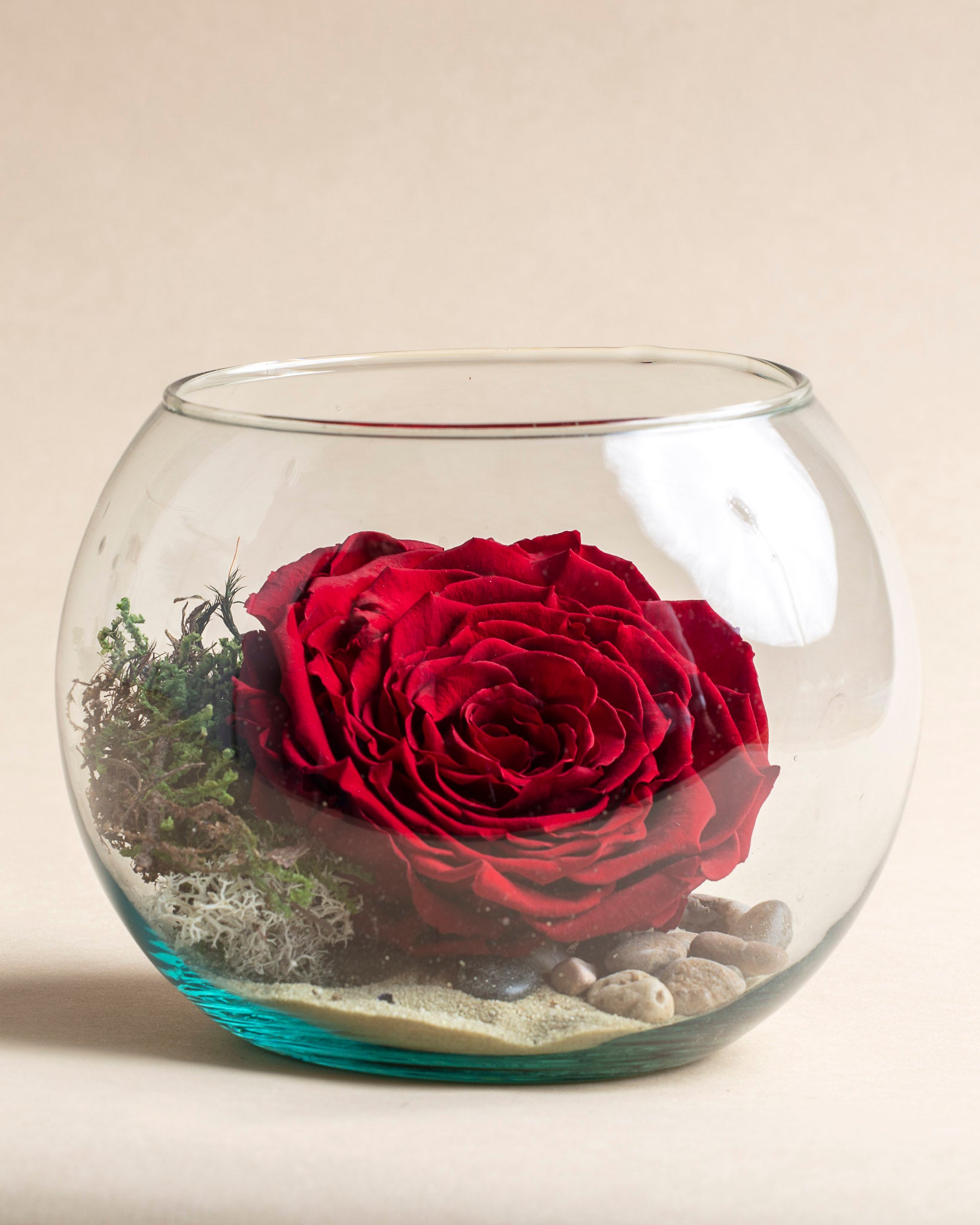 Jolie rose éternelle rouge éclatant – Fleuriste McKenna