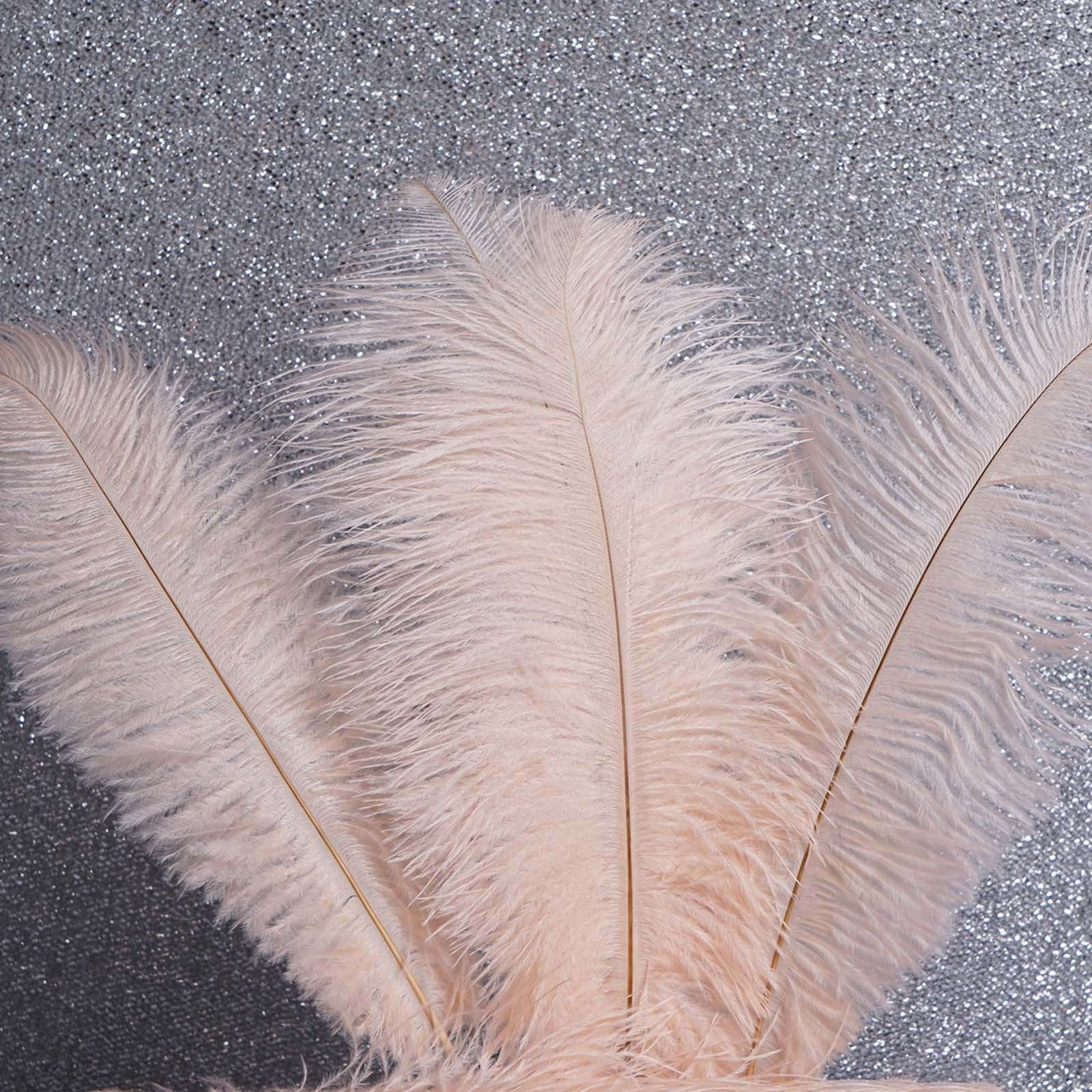 blush ostrich feathers