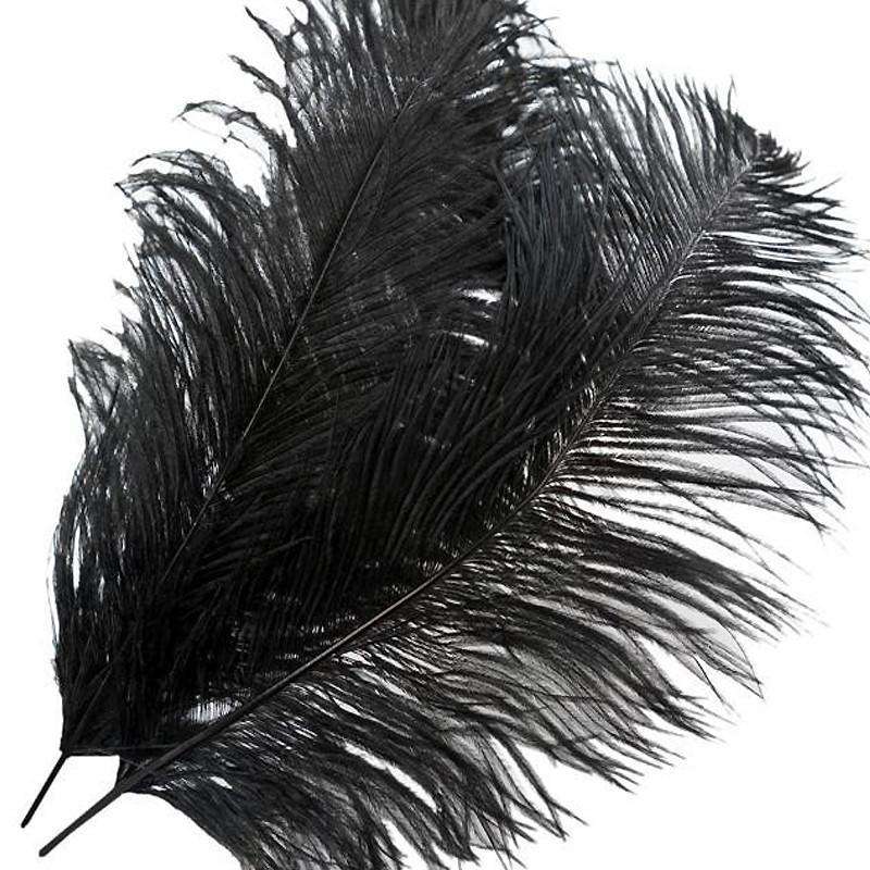 ostrich black feathers