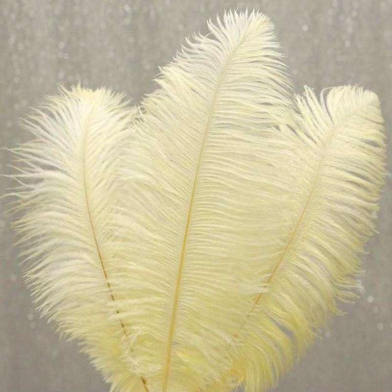 ostrich feathers ivory