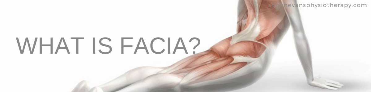 What is Facia Simon Evans Physiotherapy Solihull