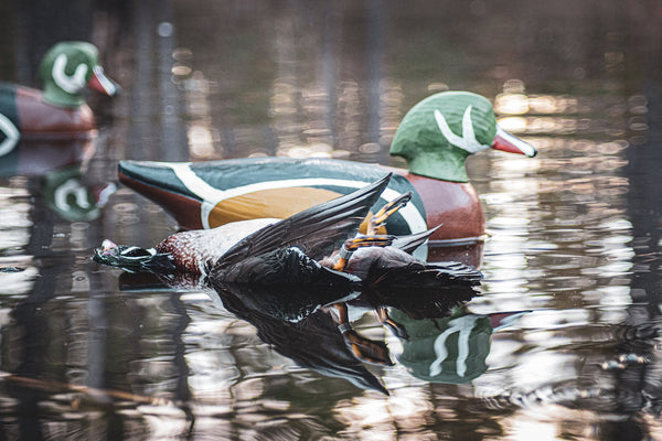 American made foam wood duck decoy