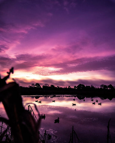 duck hunting sunrise