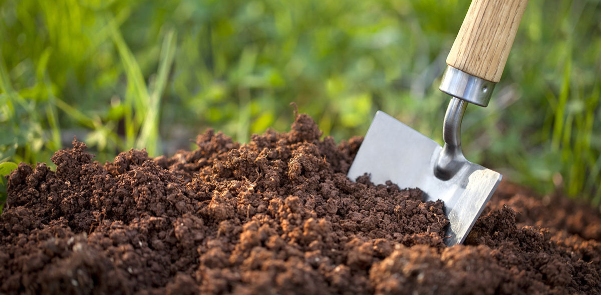 vineyard soil profile